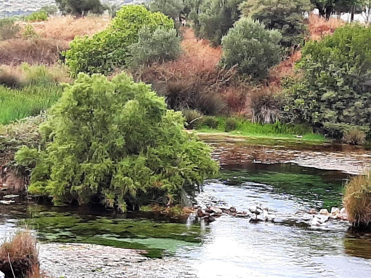 Aloe Villa Chania Crete Γεωργιούπολη Εξωτερικό φωτογραφία