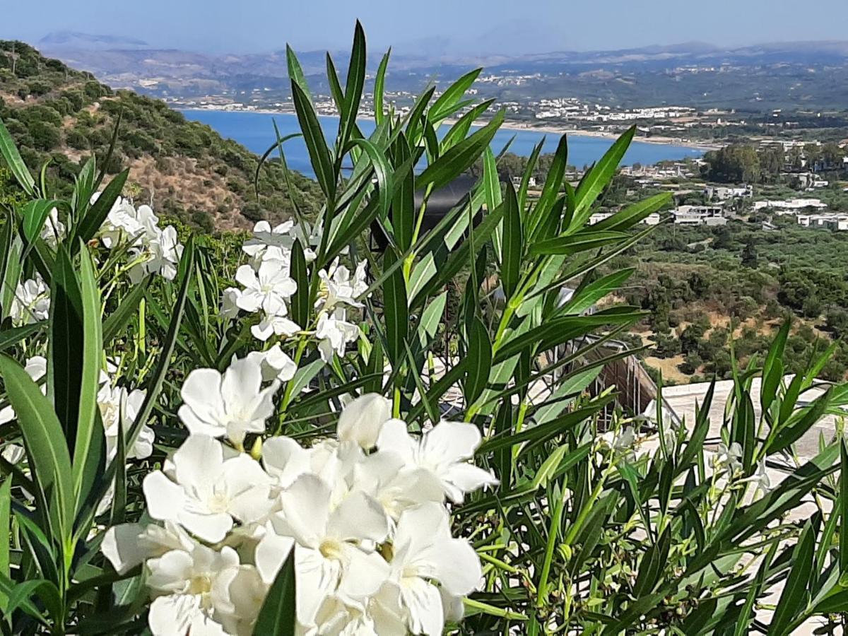 Aloe Villa Chania Crete Γεωργιούπολη Εξωτερικό φωτογραφία