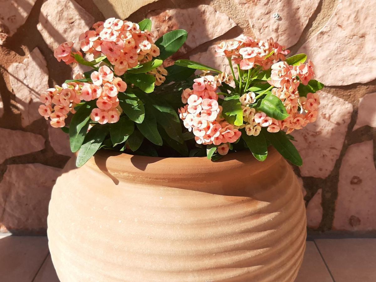 Aloe Villa Chania Crete Γεωργιούπολη Εξωτερικό φωτογραφία