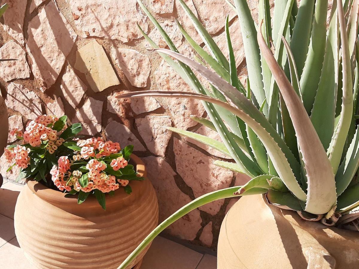 Aloe Villa Chania Crete Γεωργιούπολη Εξωτερικό φωτογραφία