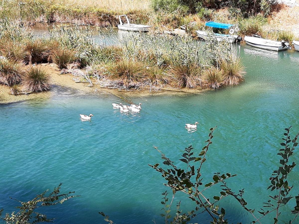Aloe Villa Chania Crete Γεωργιούπολη Εξωτερικό φωτογραφία